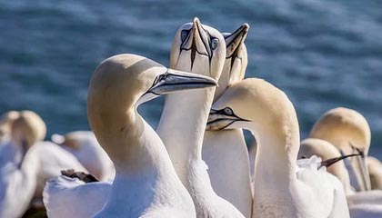 招远伴游，定制QQ：3494206190微信：act1322