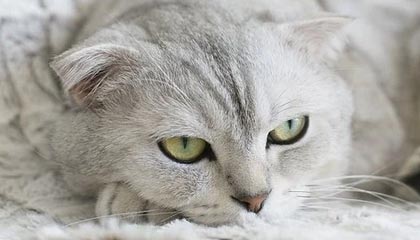 伴游景点的魅力